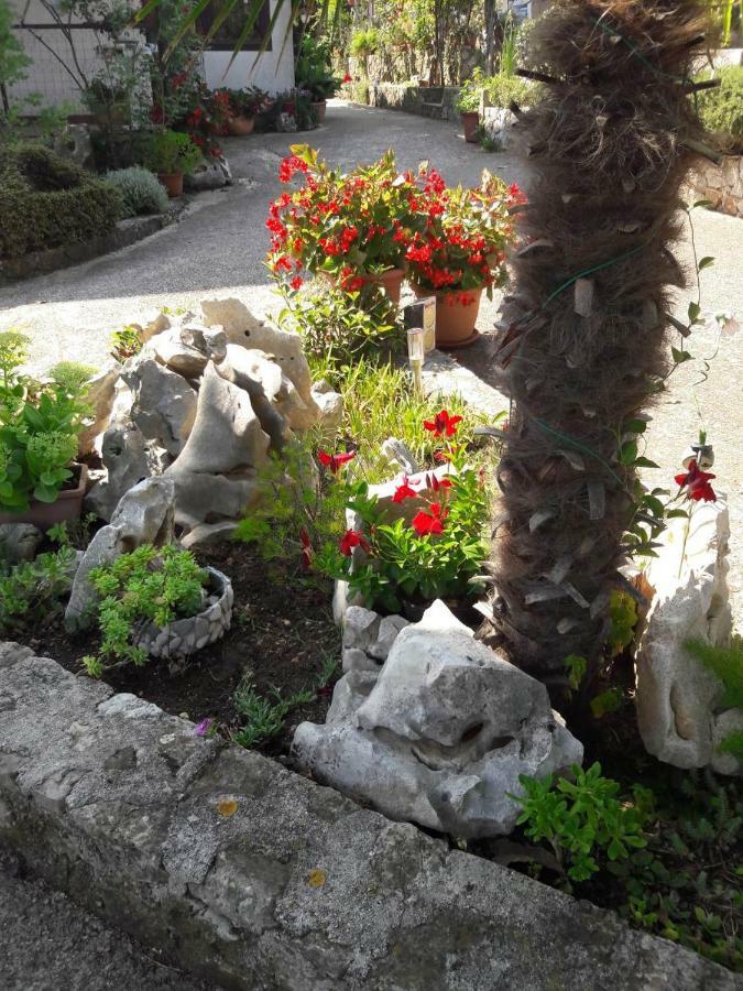 Apartments Nadia Sokolic Nerezine Εξωτερικό φωτογραφία