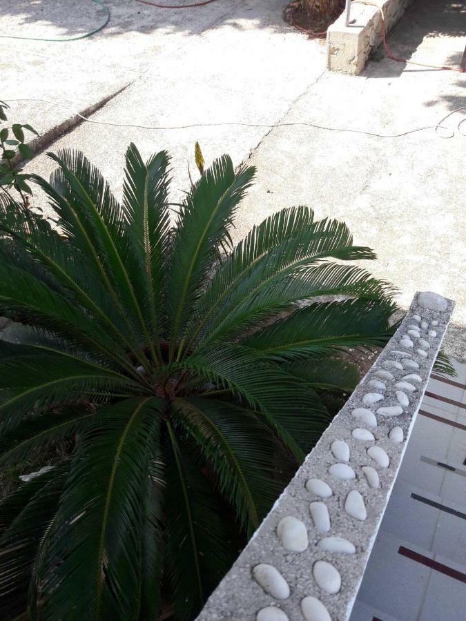 Apartments Nadia Sokolic Nerezine Εξωτερικό φωτογραφία