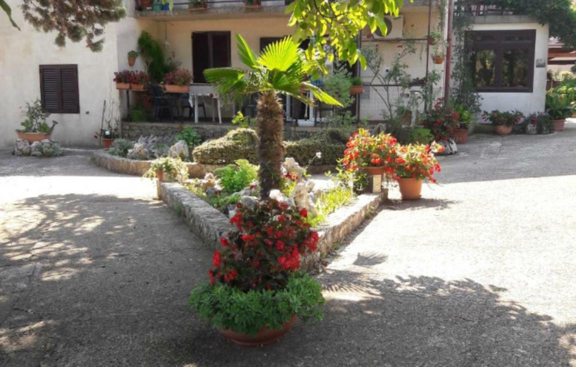 Apartments Nadia Sokolic Nerezine Εξωτερικό φωτογραφία